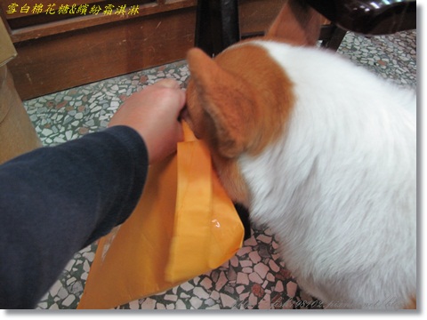 IMG_2834.JPG IMG_2834.JPG