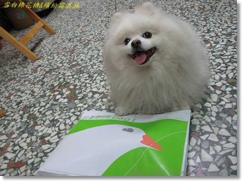 IMG_3411.JPG IMG_3411.JPG