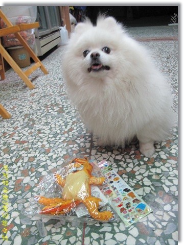 IMG_3415.JPG IMG_3415.JPG