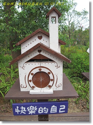 IMG_3365.JPG IMG_3365.JPG