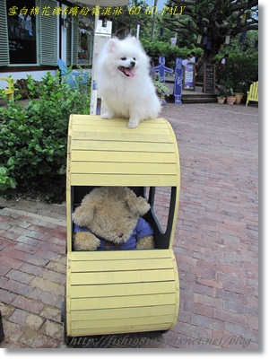 IMG_3383.JPG IMG_3383.JPG