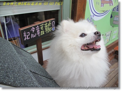 IMG_3381.JPG IMG_3381.JPG