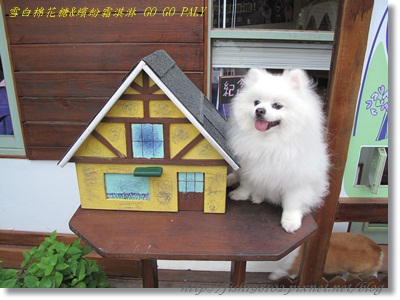 IMG_3382.JPG IMG_3382.JPG