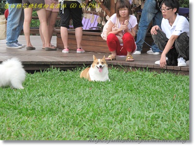 IMG_3409.JPG IMG_3409.JPG