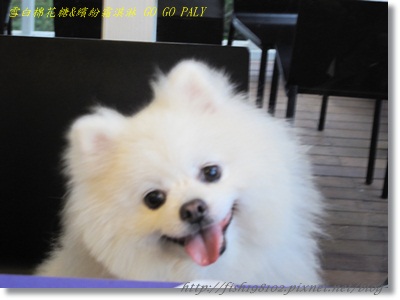 IMG_3505.JPG IMG_3505.JPG