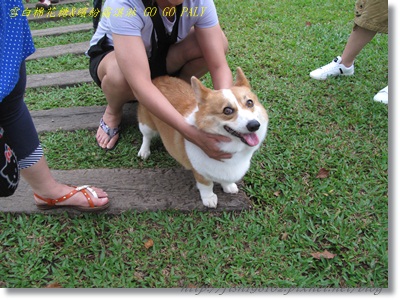 IMG_3538.JPG IMG_3538.JPG