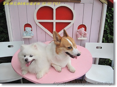 IMG_3545.JPG IMG_3545.JPG