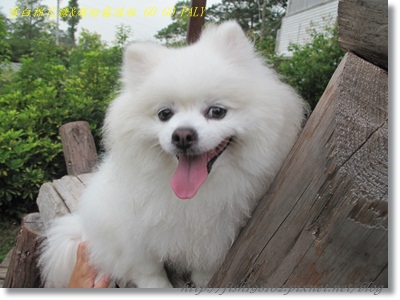 IMG_3565.JPG IMG_3565.JPG