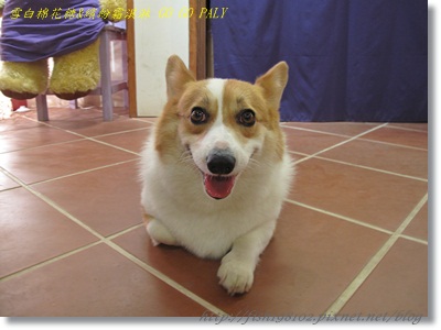 IMG_3647.JPG IMG_3647.JPG