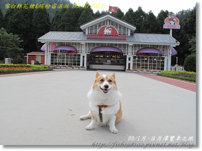 IMG_3485.JPG IMG_3485.JPG