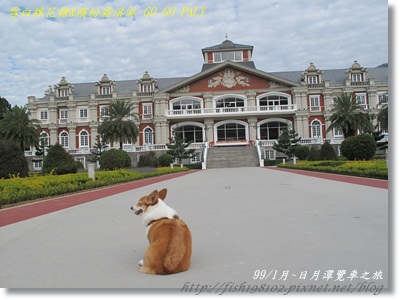 IMG_3546.JPG IMG_3546.JPG