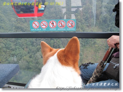 IMG_3737.JPG IMG_3737.JPG