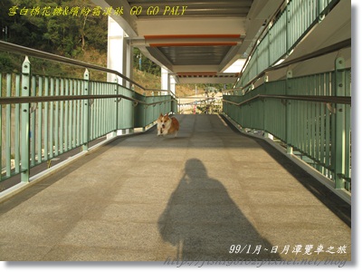 IMG_3877.JPG IMG_3877.JPG