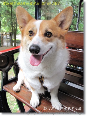 IMG_3469.JPG IMG_3469.JPG