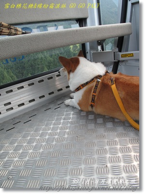 IMG_3659.JPG IMG_3659.JPG