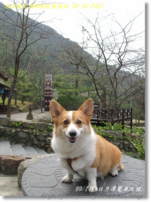 IMG_3722.JPG IMG_3722.JPG