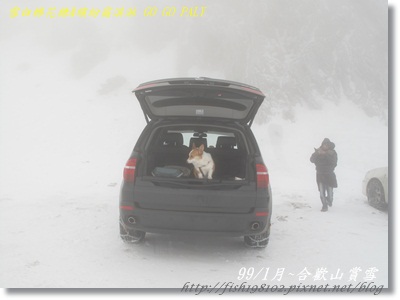 IMG_3936.JPG IMG_3936.JPG