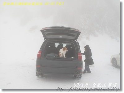 IMG_3937.JPG IMG_3937.JPG