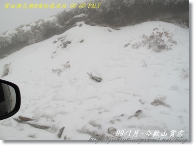 IMG_3959.JPG IMG_3959.JPG