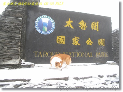 IMG_3970.JPG IMG_3970.JPG