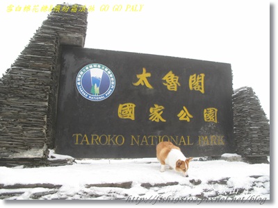 IMG_3973.JPG IMG_3973.JPG