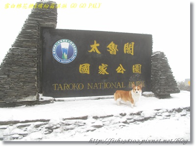 IMG_3974.JPG IMG_3974.JPG