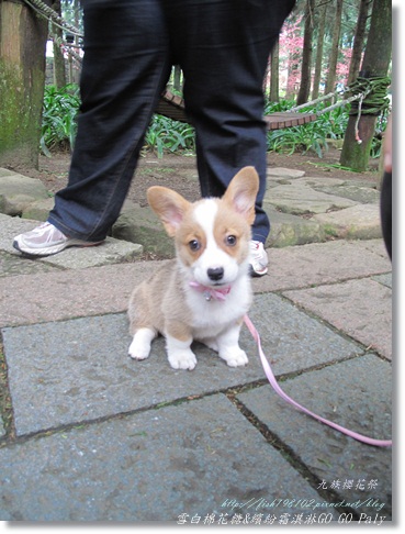 IMG_0053.JPG IMG_0053.JPG