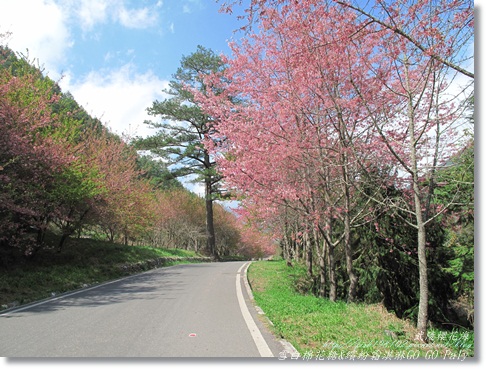 IMG_0426.JPG IMG_0426.JPG