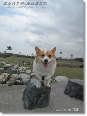 IMG_5942.JPG IMG_5942.JPG