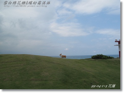 IMG_5947.JPG IMG_5947.JPG