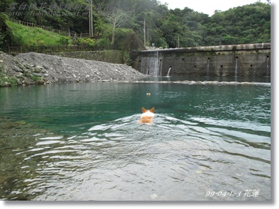 IMG_6015.JPG IMG_6015.JPG