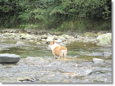 IMG_6020.JPG IMG_6020.JPG