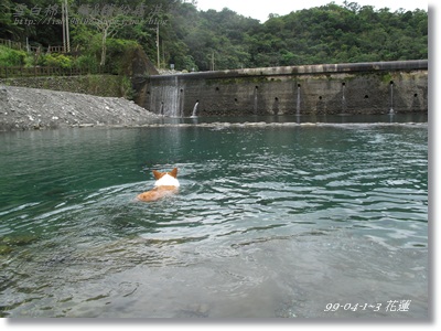 IMG_6031.JPG IMG_6031.JPG