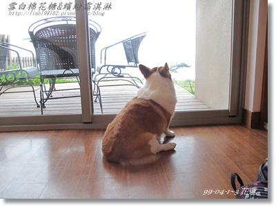 IMG_6063.JPG IMG_6063.JPG