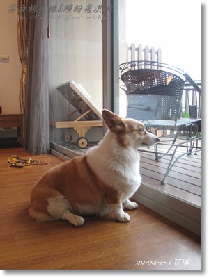 IMG_6065.JPG IMG_6065.JPG