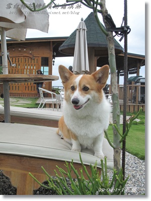 IMG_6076.JPG IMG_6076.JPG