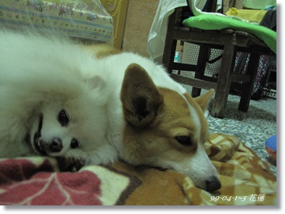 IMG_6249.JPG IMG_6249.JPG