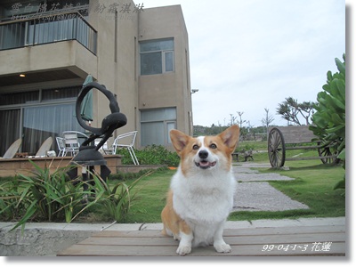 IMG_6096.JPG IMG_6096.JPG