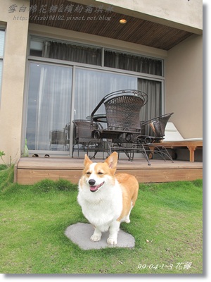 IMG_6243.JPG IMG_6243.JPG