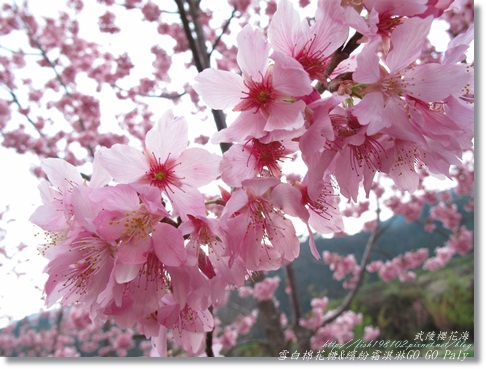 IMG_0500.JPG IMG_0500.JPG