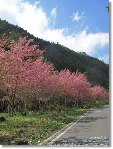 IMG_0434.JPG IMG_0434.JPG