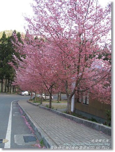 IMG_0541.JPG IMG_0541.JPG