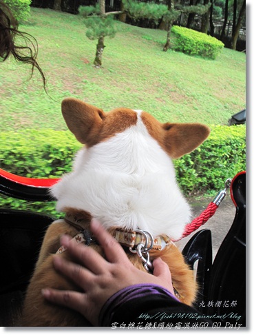 IMG_2252.JPG IMG_2252.JPG