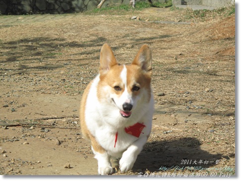 IMG_2085.JPG IMG_2085.JPG