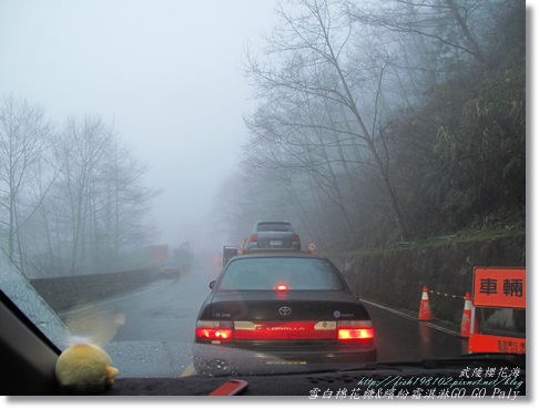 IMG_0557.JPG IMG_0557.JPG