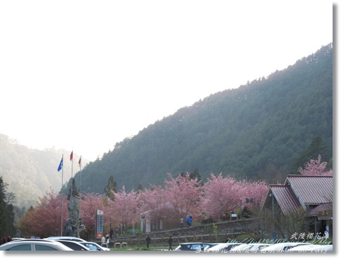 IMG_0553.JPG IMG_0553.JPG