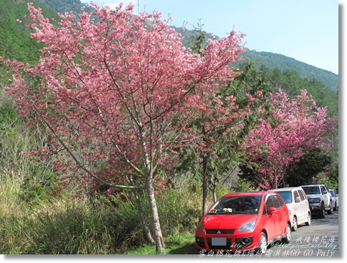 IMG_0461.JPG IMG_0461.JPG