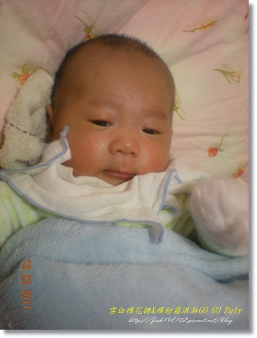 DSCN9921.JPG DSCN9921.JPG