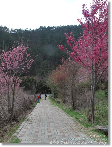 IMG_0384.JPG IMG_0384.JPG