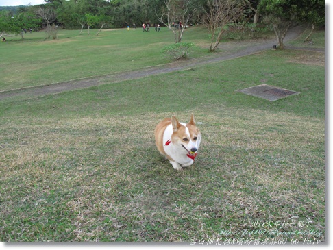 IMG_2197.JPG IMG_2197.JPG